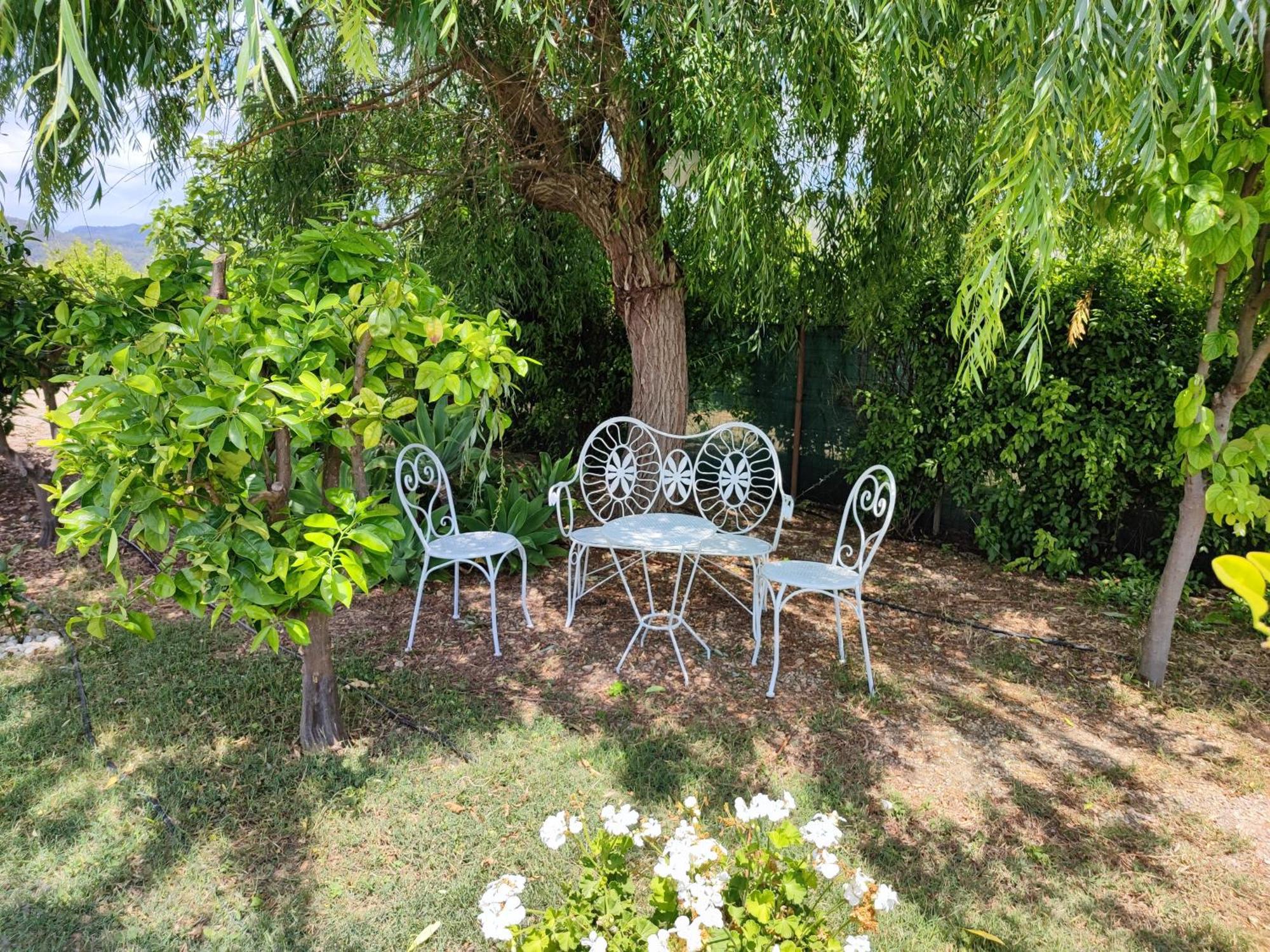 Villa Els Tarongers Perfect For Families Or Friends Sa Pobla Esterno foto